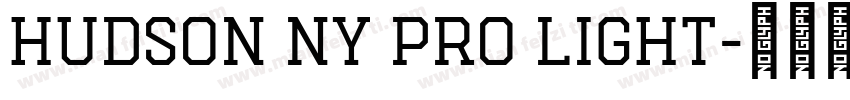 Hudson NY Pro Light字体转换